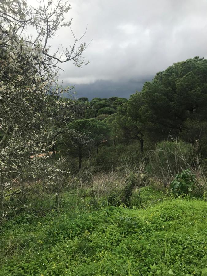 Finca Rustica Los Borrachos Ayamonte Ngoại thất bức ảnh